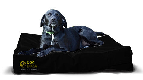 Dog Doza Waterproof Mattress Poly Bonde Dog Bed