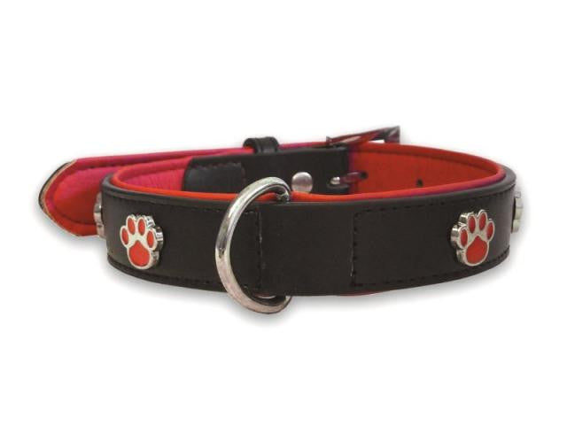 Paws Black Collar