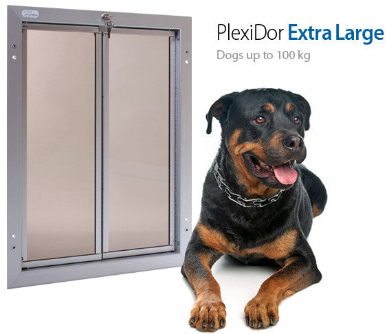 Xl dog door wall mount 2025