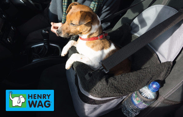 Henry Wag Dog Car Booster Seat