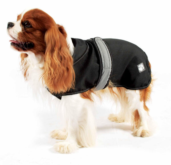 2-in-1 Ultimate Dog Coat