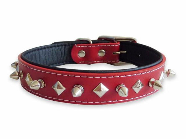 Stud  Collar