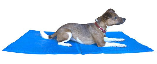 Henry Wag Gel Cool Mat