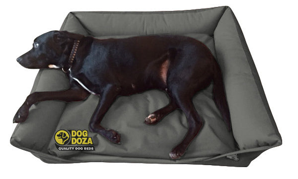 Dog Doza Dog Waterproof Sofa Beds