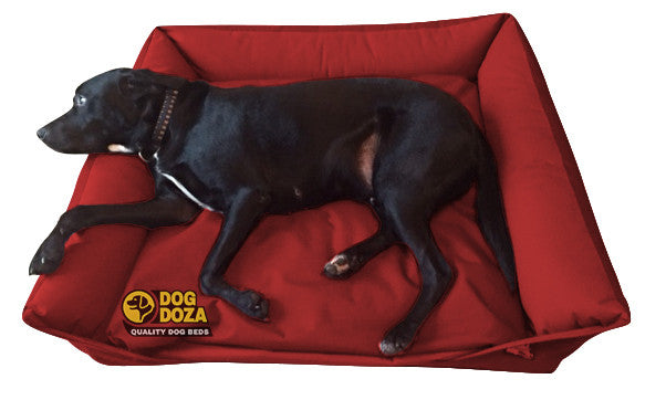 Dog doza bed covers shop