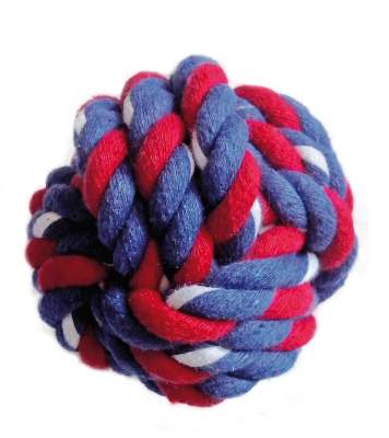 Gor Tugs Plastic Dog Toy 20 PACK MIXED