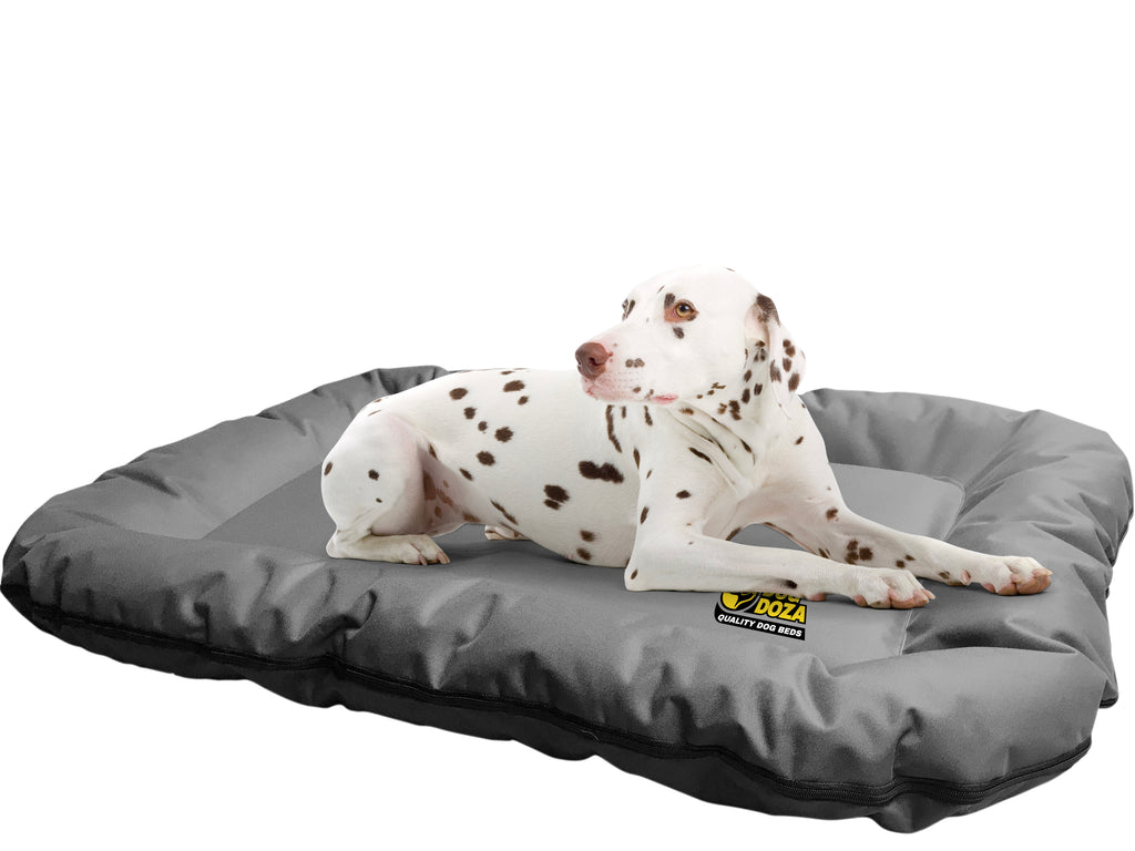 Heavy duty dog mat deals