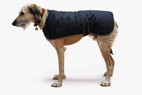 Black Harness Dog Coat