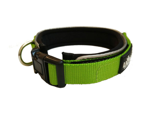 Padded Collar