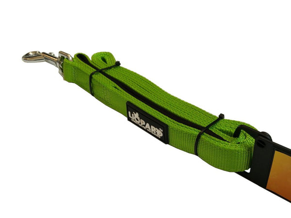 Nylon Leash