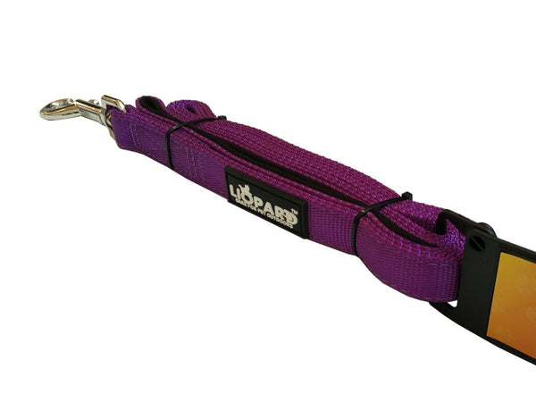 Nylon Leash