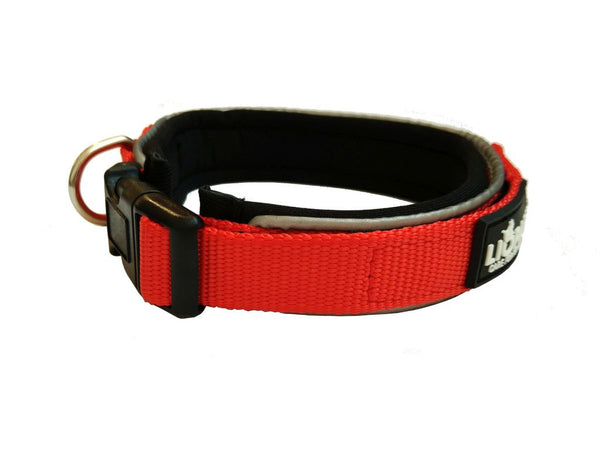 Padded Collar