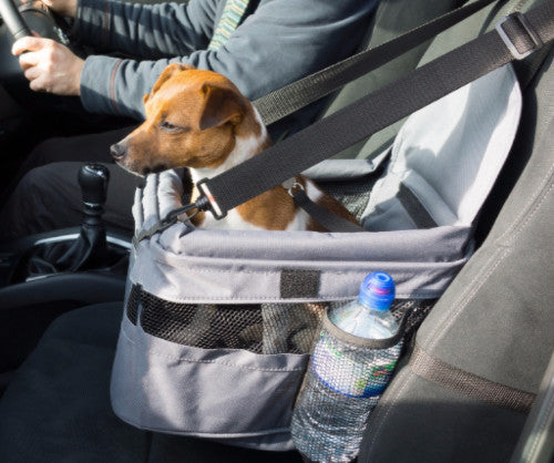 Henry Wag Dog Car Booster Seat