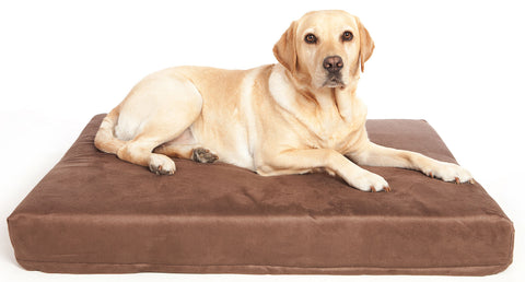 P&L Premium Memory Foam Dog Mattresses