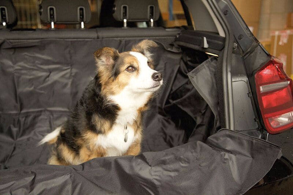 Summit Protective Boot Liner