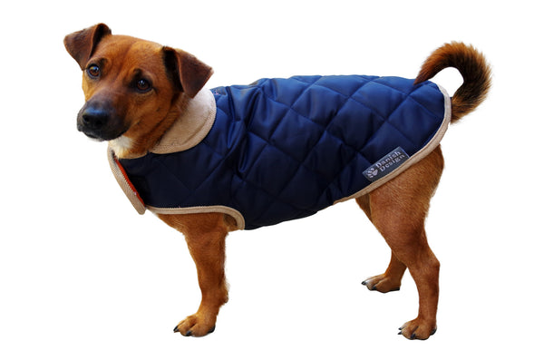 Navy Quilted Dog Coat