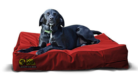 Dog Doza Waterproof Mattress Poly Bonde Dog Bed