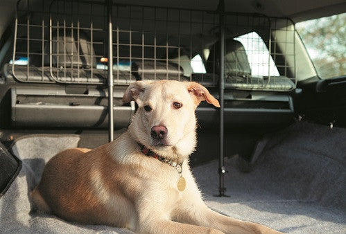 Summit Mesh Upright Dog Guard
