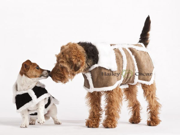 Sherpa Leather Coat