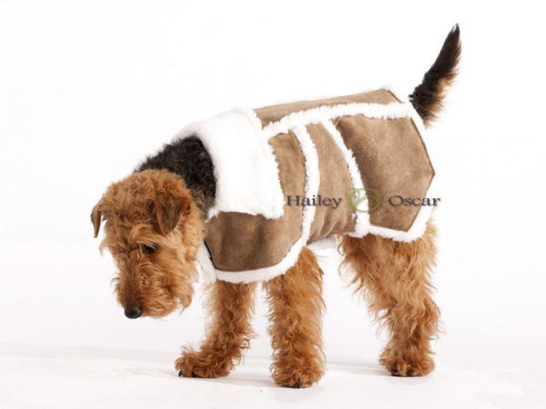 Sherpa Leather Coat
