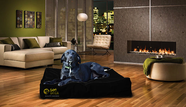 Dog Doza Waterproof Mattress Poly Bonde Dog Bed