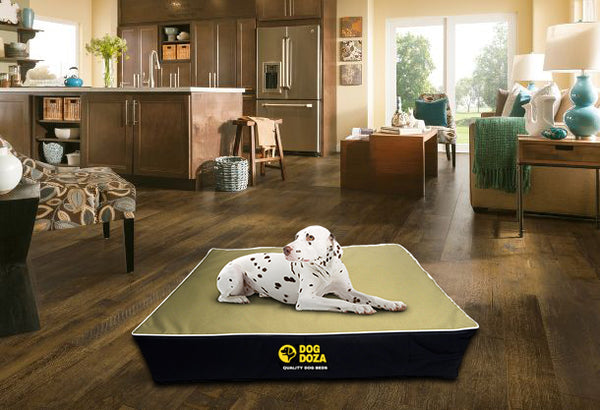 Dog Doza Waterproof Memory Foam Dog Mattress