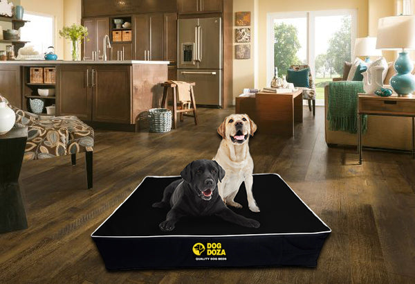 Dog Doza Waterproof Orthopaedic Dog Bed Memory Foam Mattress 5" Thick (12.7cm)