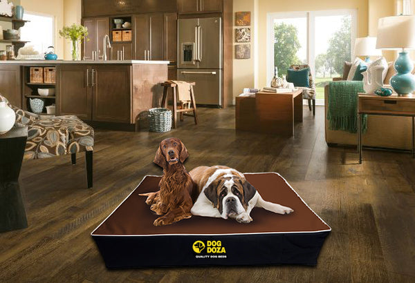 Dog Doza Waterproof Memory Foam Dog Mattress