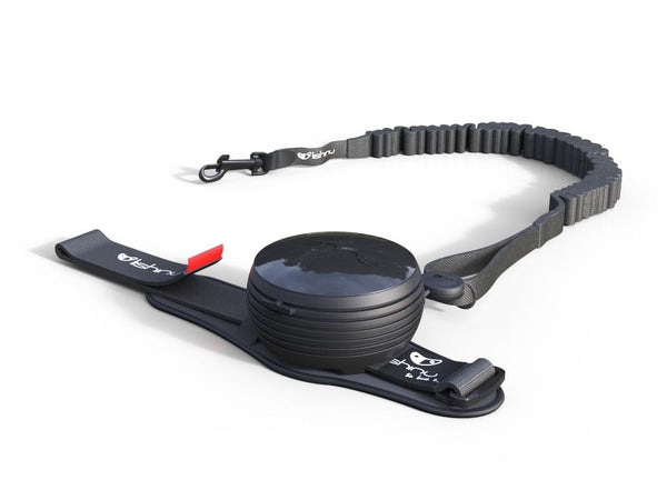Lishinu Bungee retractable dog lead