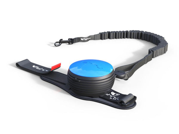Lishinu Bungee retractable dog lead