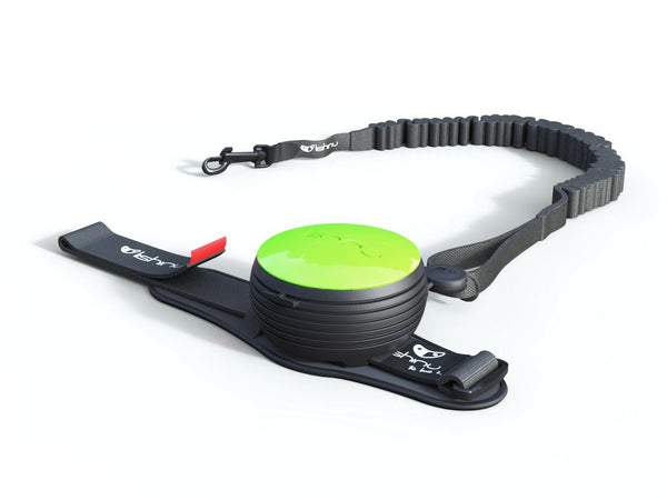 Lishinu Bungee retractable dog lead