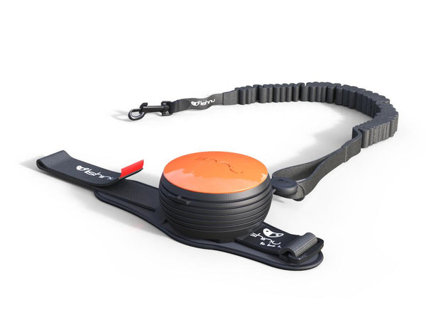 Lishinu Bungee retractable dog lead