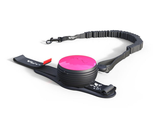 Lishinu Bungee retractable dog lead