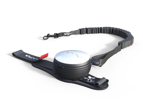 Lishinu Bungee retractable dog lead