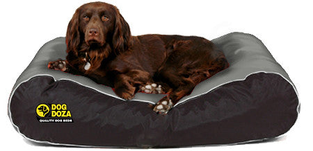 Dog Doza Waterproof Box Border Dog Bed