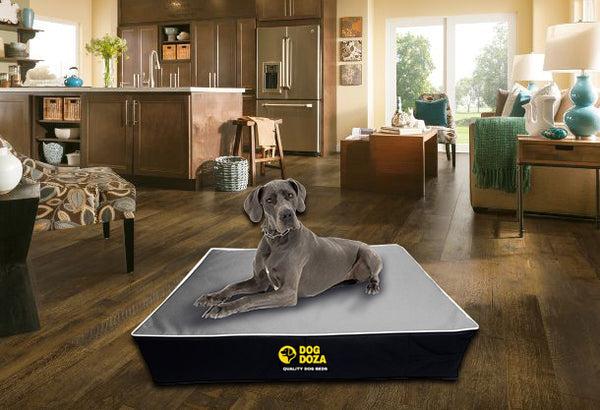 Dog Doza Waterproof Memory Foam Dog Mattress