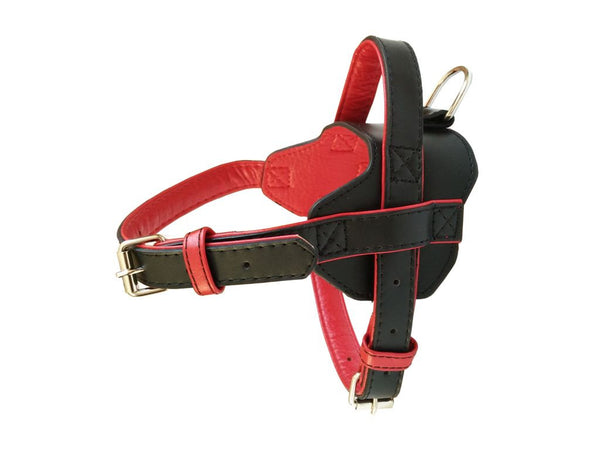 Fusion Harness