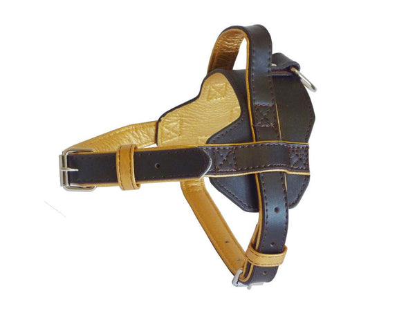 Fusion Harness