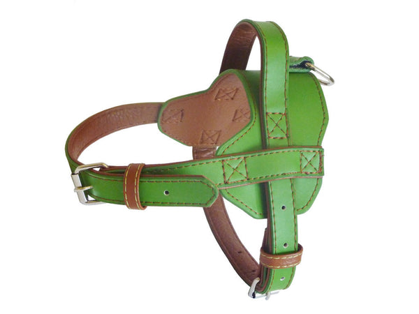 Fusion Harness