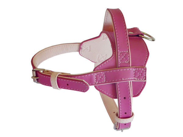 Fusion Harness