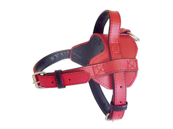 Fusion Harness