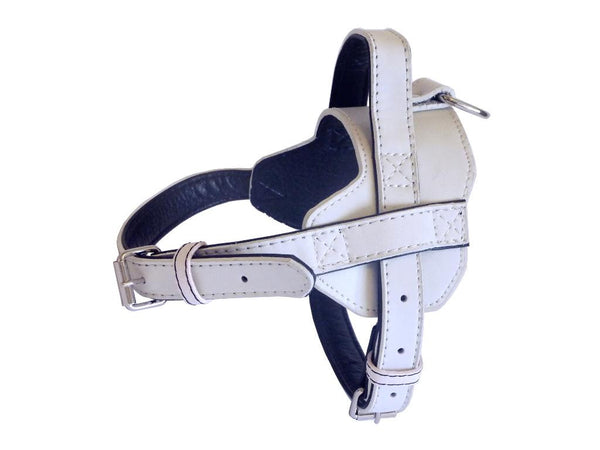Fusion Harness
