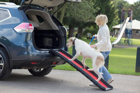 Henry Wag Lightweight Dog Folding Pet Ramp