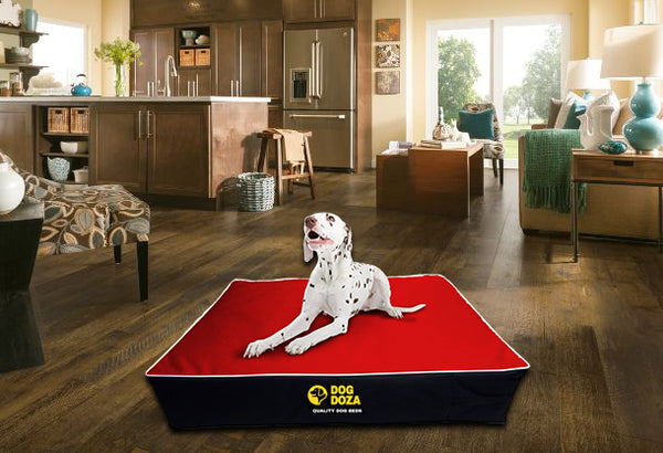 Dog Doza Waterproof Memory Foam Dog Mattress