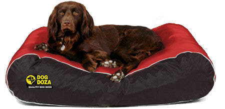 Dog Doza Waterproof Box Border Dog Bed